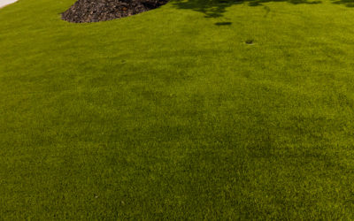 Synthetic Grass Installations For Commercial Properties